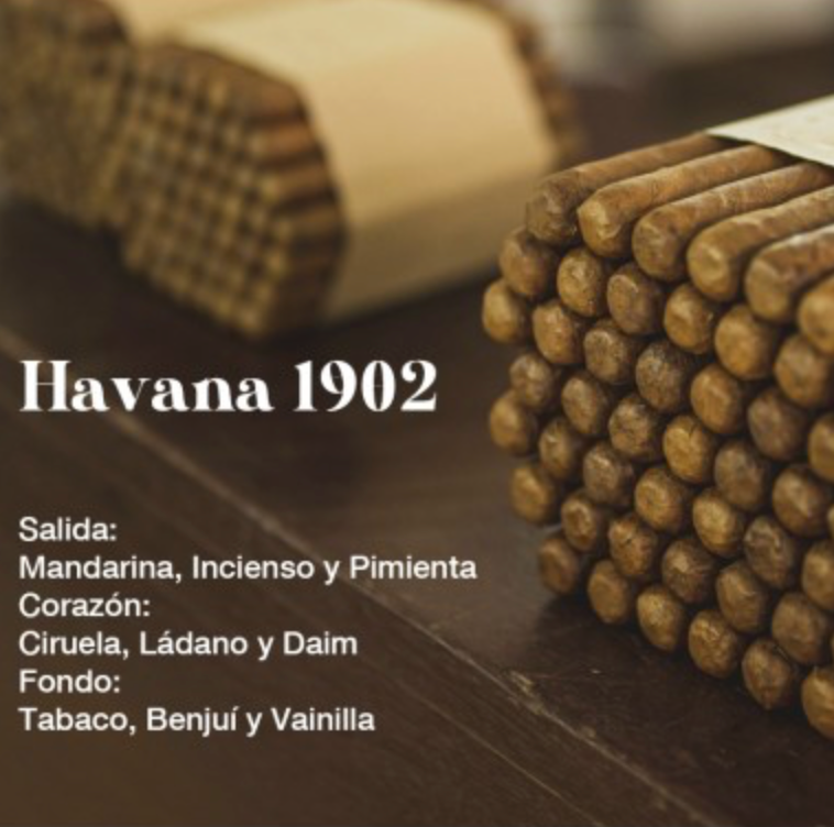Recambio mikado Havana 1902 , 500ml Edición Premium