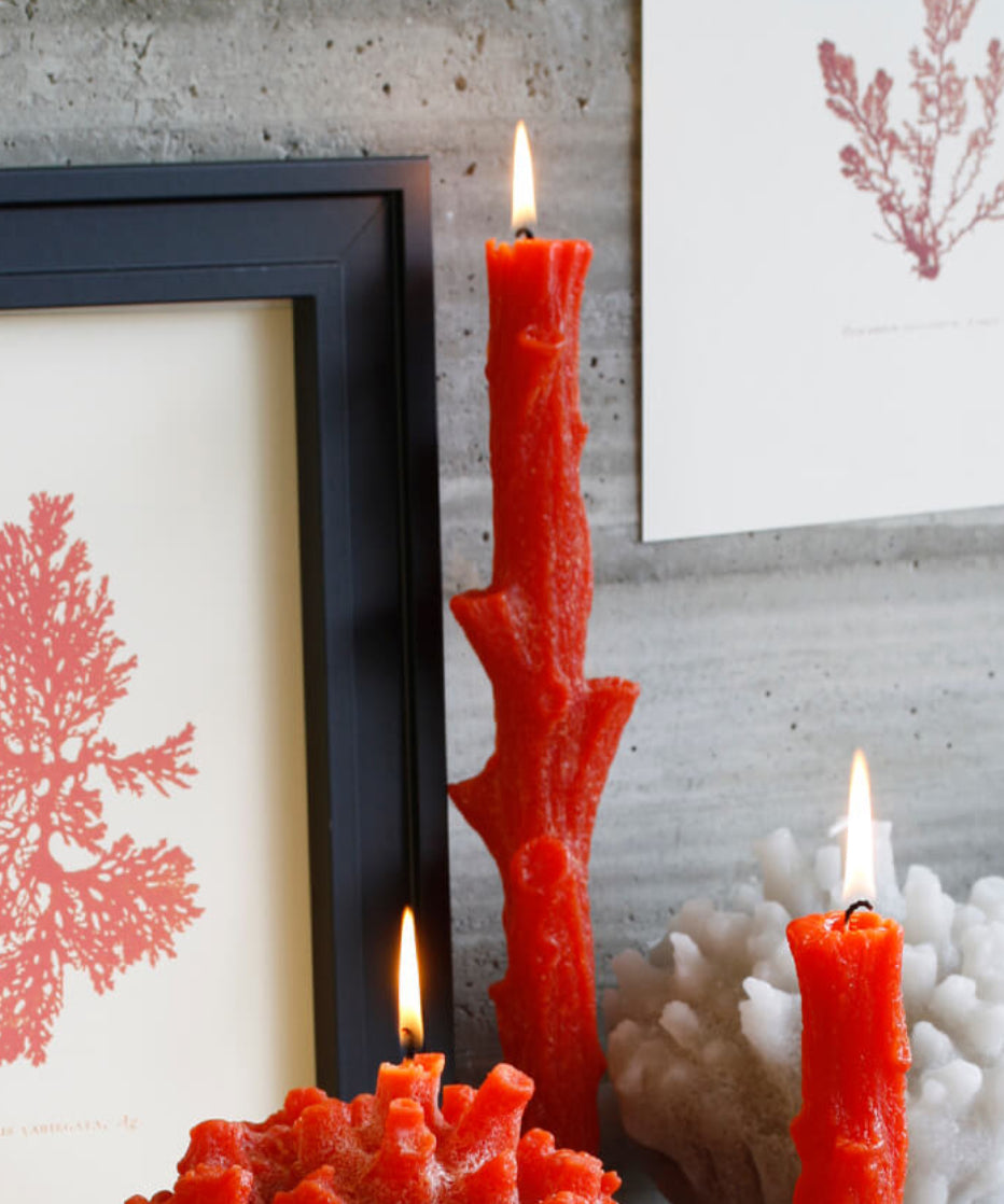 Vela candelabro coral color natural