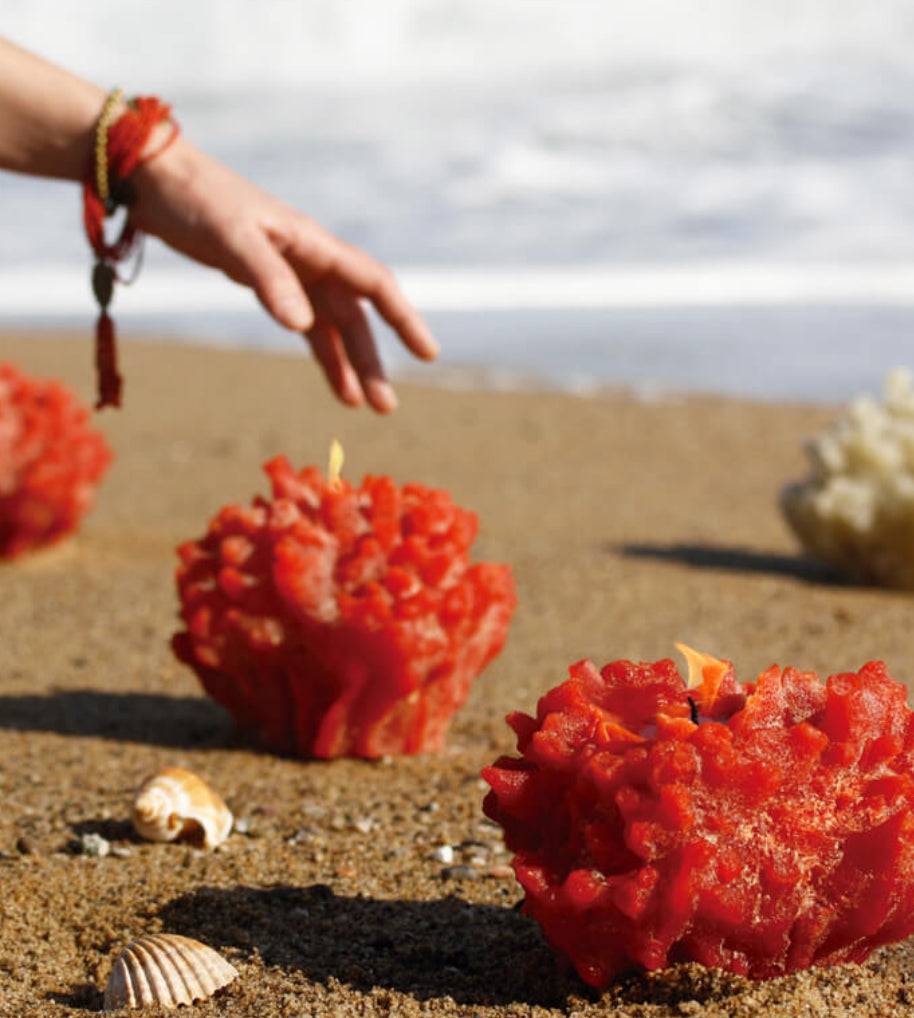 Vela coral escultura