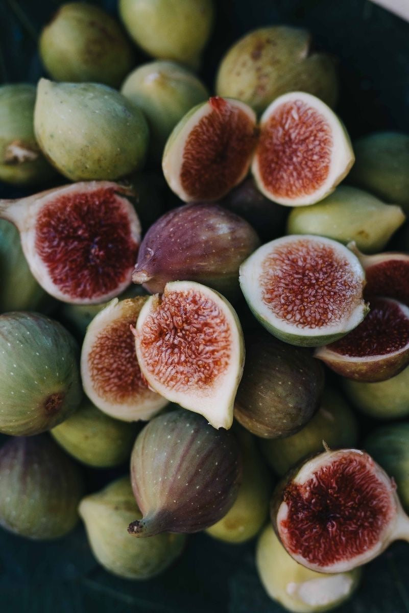 Experiencias olfativas