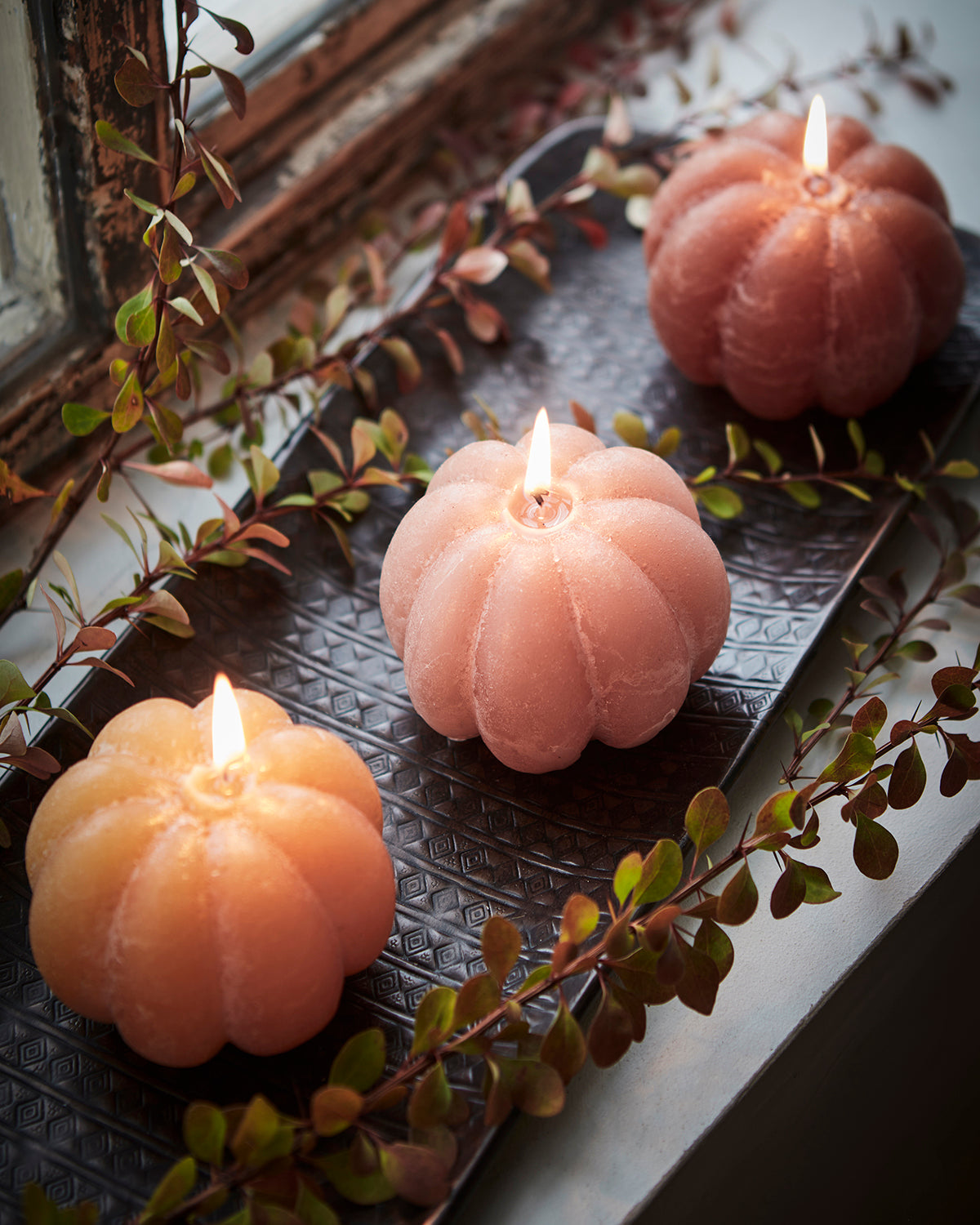 Vela calabaza pequeña dulce de leche