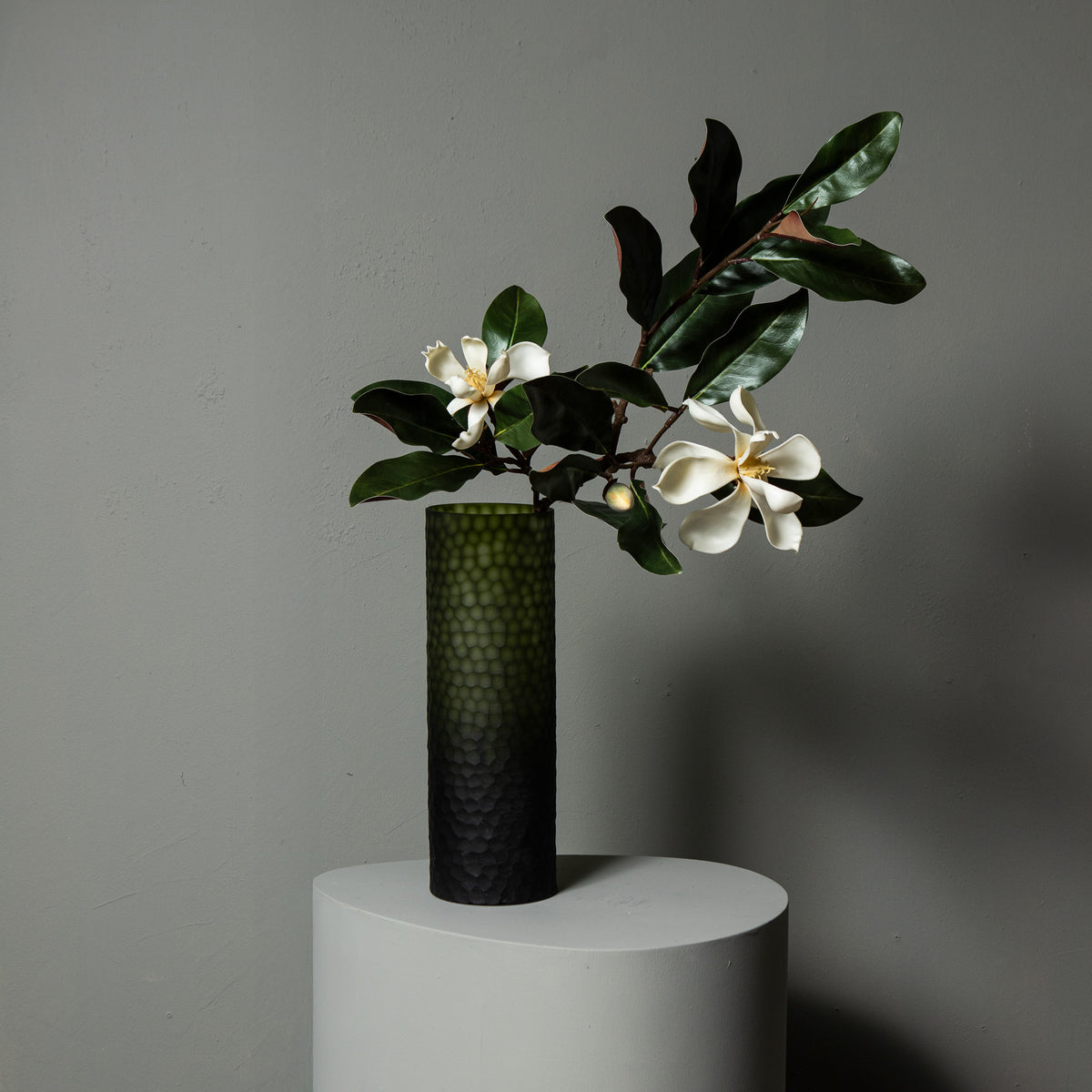 Ramas Magnolio