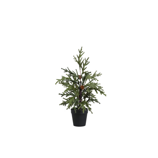 Árbol navidad pino pequeño