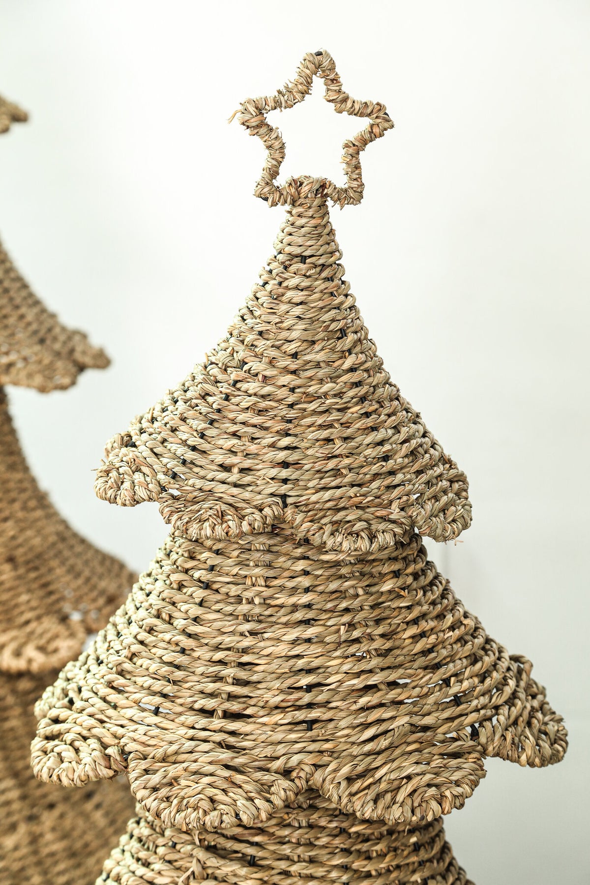Árbol ratán natural 78cm
