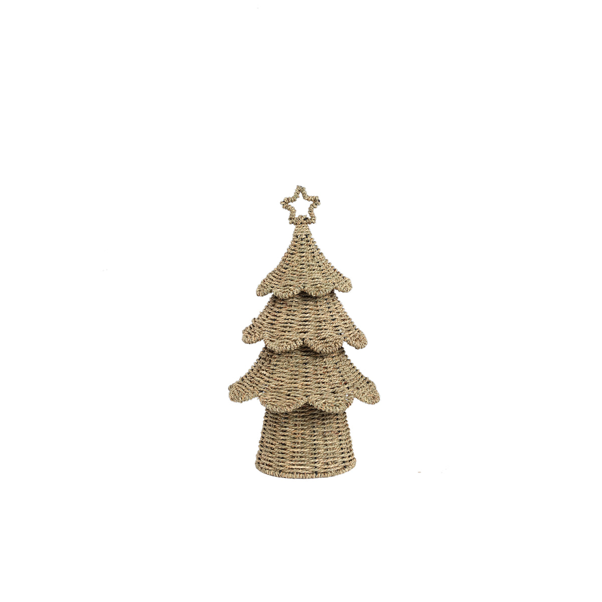 Árbol ratán natural 50cm