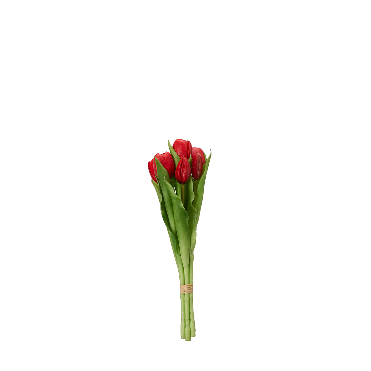 Tulipanes rojos tallo corto