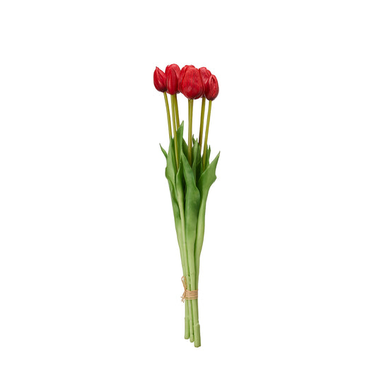 Tulipanes rojos tallo largo