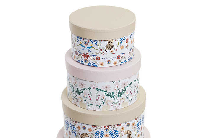 Set de 10 cajas animals