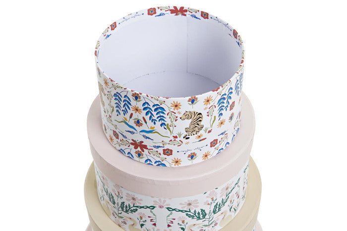 Set de 10 cajas animals