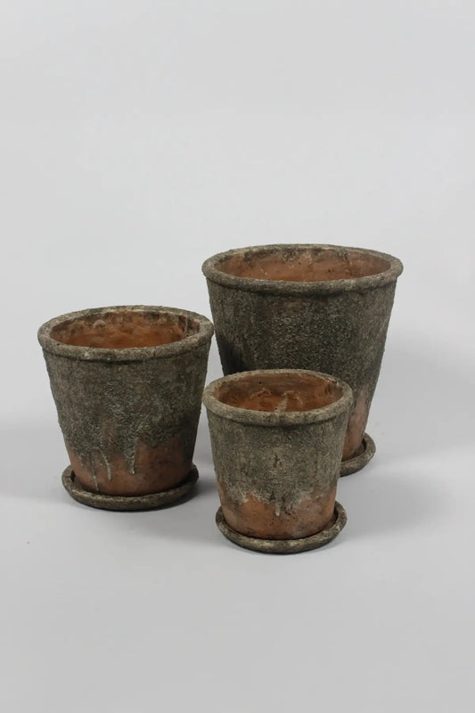 Macetas de cemento