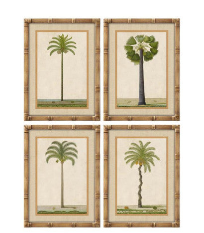 Cuadros palmeras