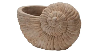 Figura terracota caracol de mar