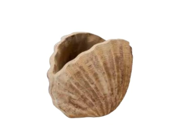 Figura terracota concha