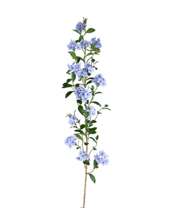 Rama flor colgante