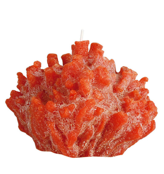 Vela coral escultura