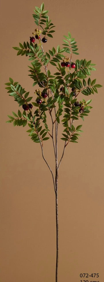 Rama escarmujo