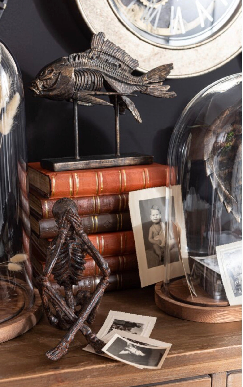 Libros decorativos