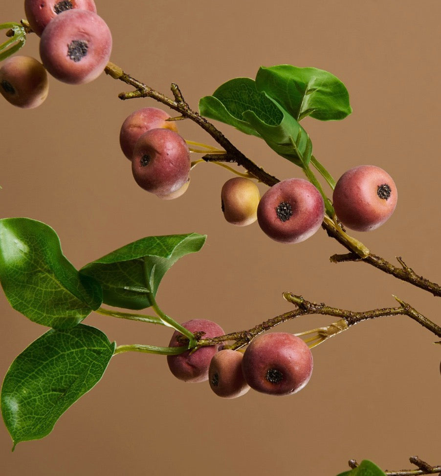 Rama Manzanas Malus