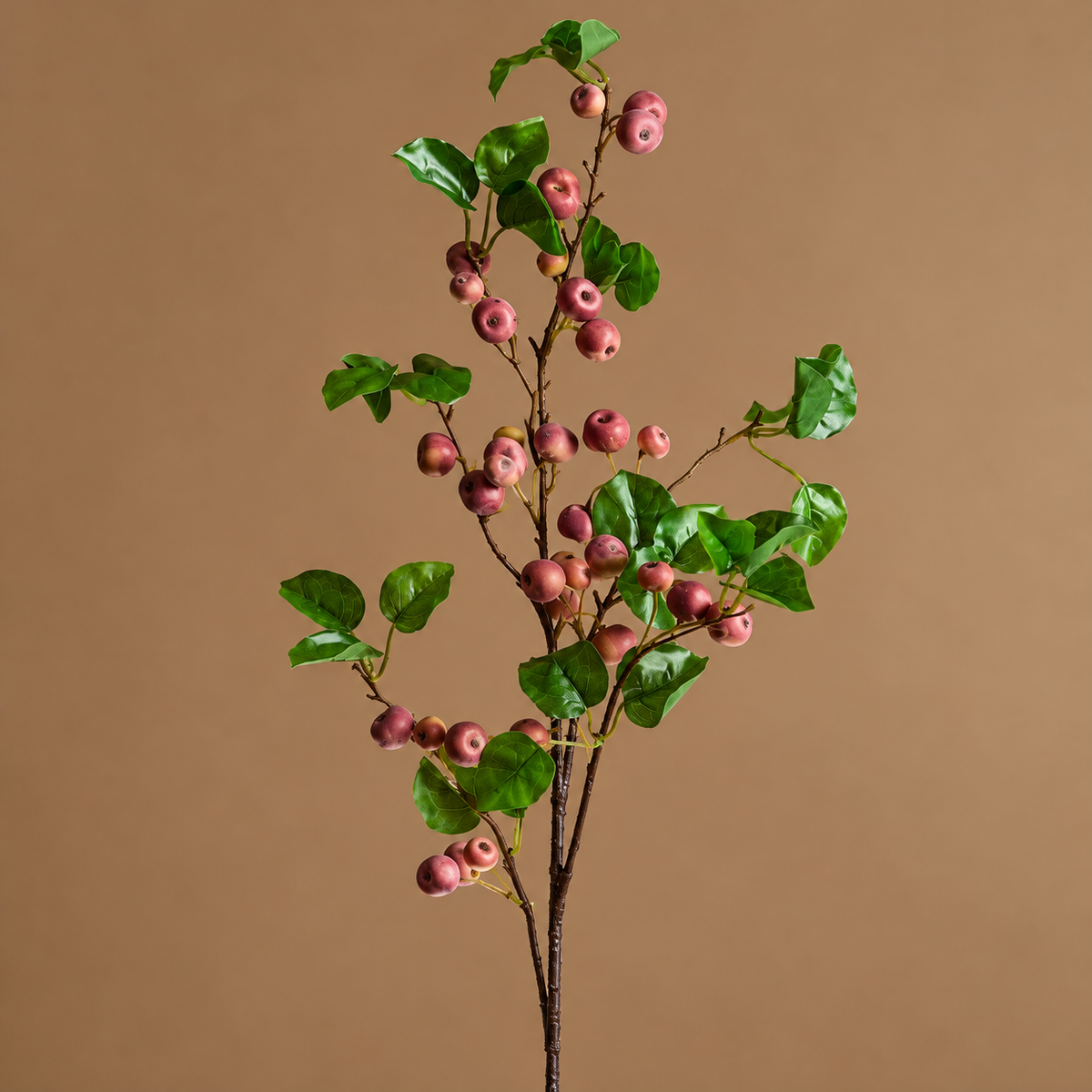 Rama Manzanas Malus