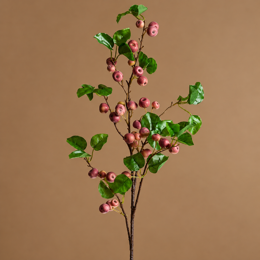 Rama Manzanas Malus