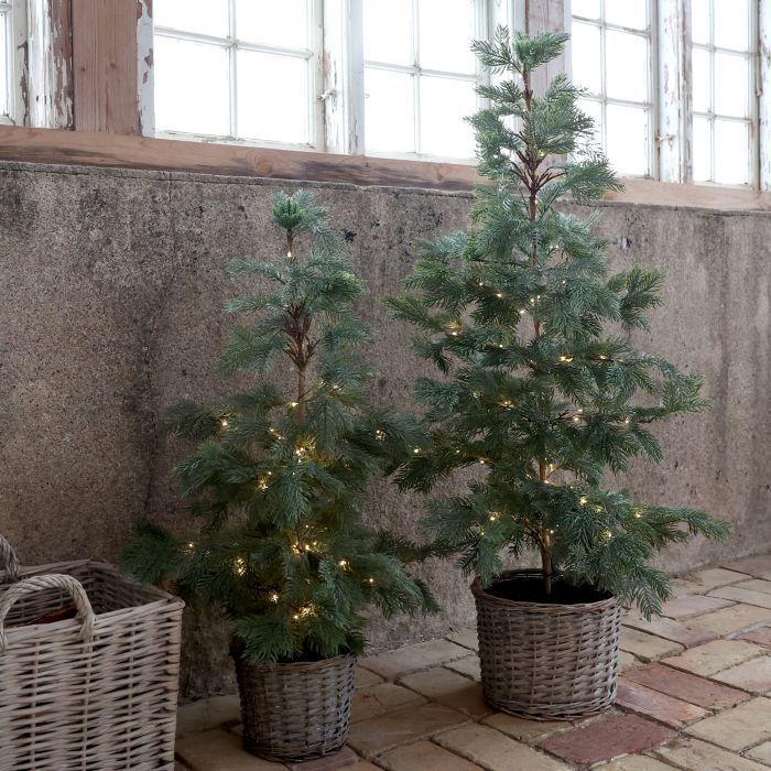 Árbol pino con cesta mimbre y luz grande
