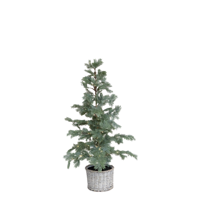 Árbol pino con cesta mimbre y luz grande