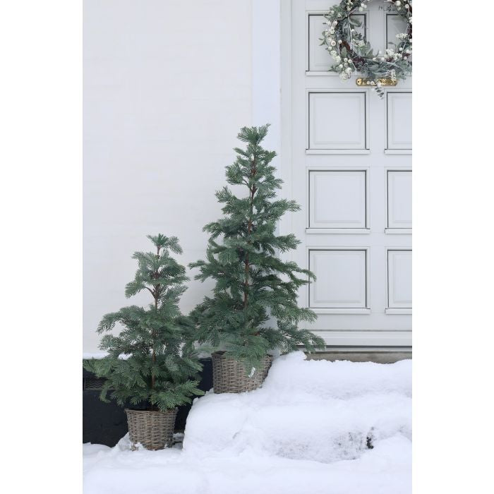 Árbol pino con cesta mimbre y luz grande
